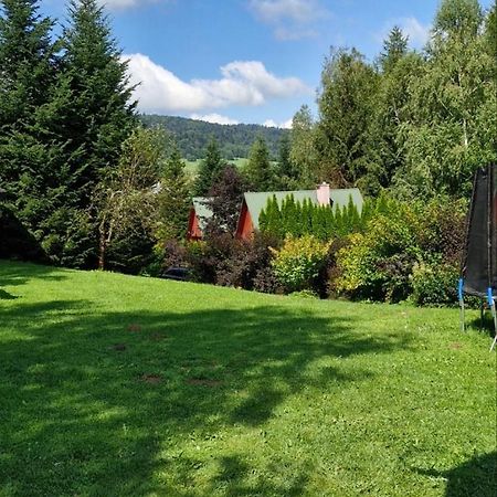 Domki Pod Kiczera W Baligrodzie, Bieszczady Екстер'єр фото